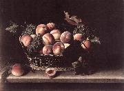 MOILLON, Louise Basket with Peaches and Grapes s Norge oil painting reproduction